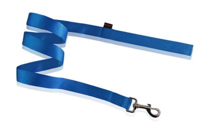 Pet Interest Plain повод за куче, размер XS -10mm * 120 см