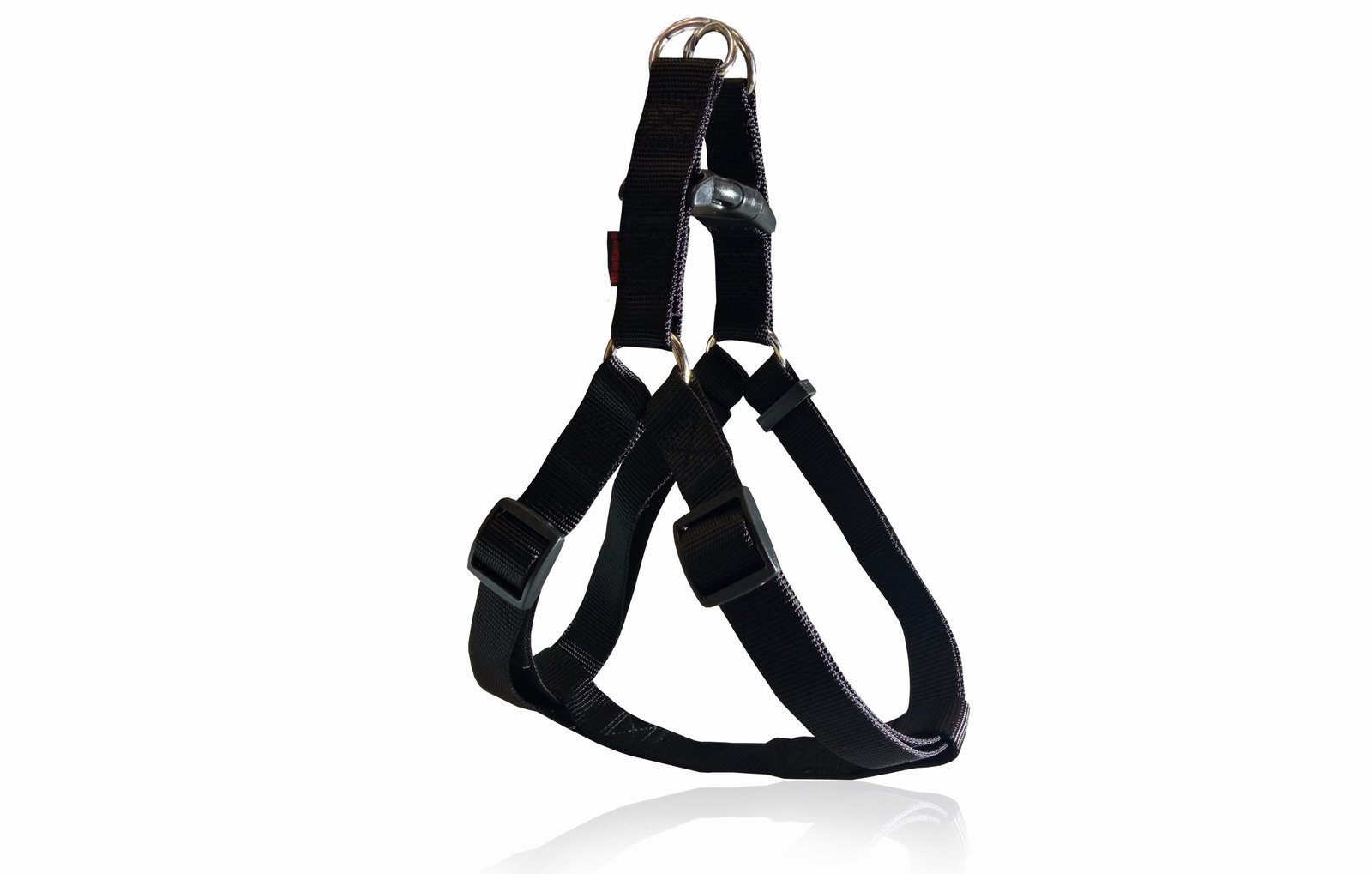pet interest nagradnik 3213