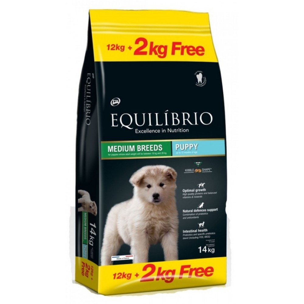 equilibrio-puppy-medium-14