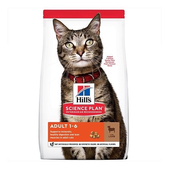 hills lamb cat