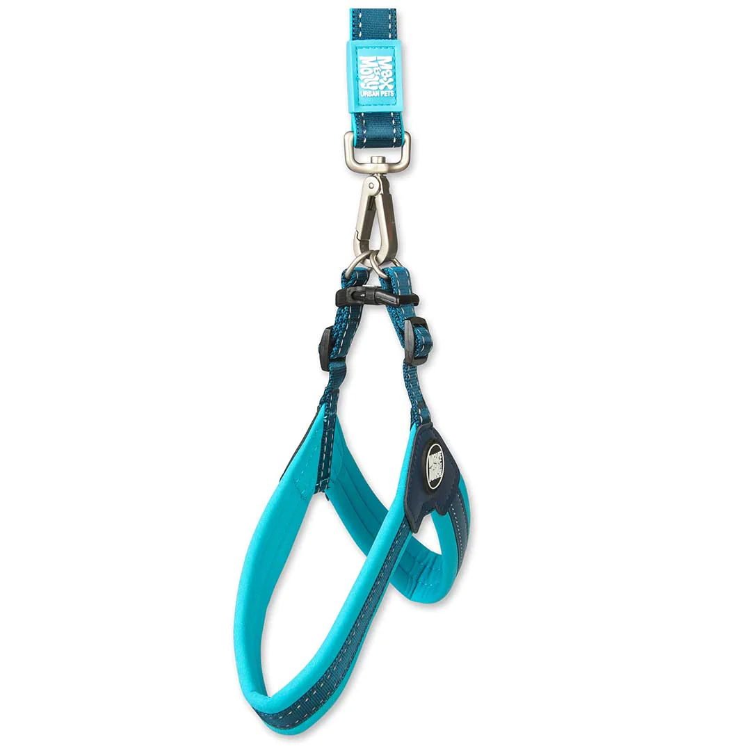 Q-FIT-harness-max-molly 2