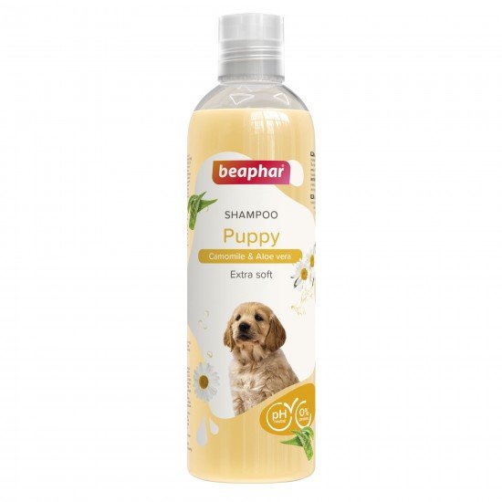 Basic-Shampoo-Puppy