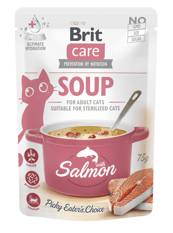 brit-soup-salmon