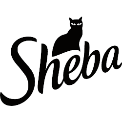 sheba