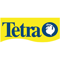 tetra