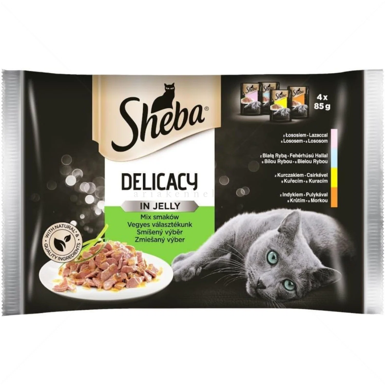 sheba