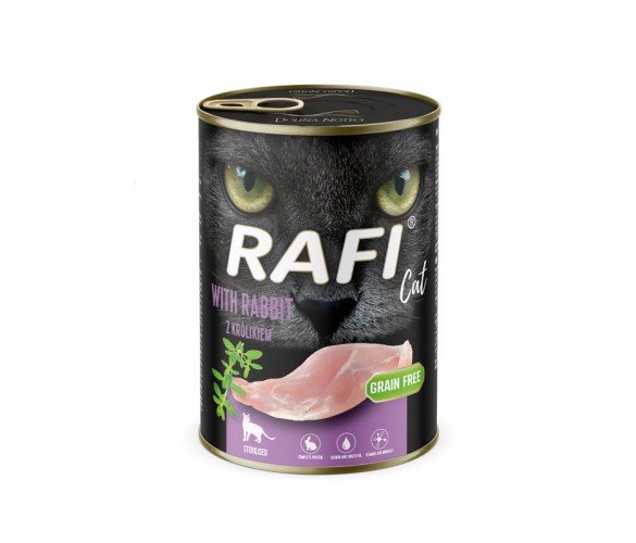 rafi cat rabbit